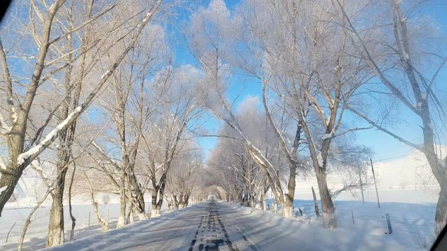 新疆阿勒泰3大滑雪場對比出行必看