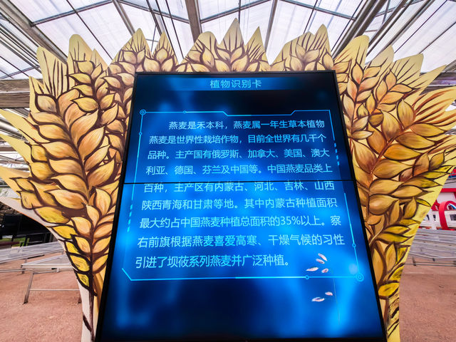 烏蘭察布小眾遛娃地 | 察右前旗現代農業產業園