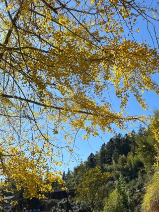 Facing the autumn breeze and the pleasant days, I visited the villages and strongholds of Yongtai