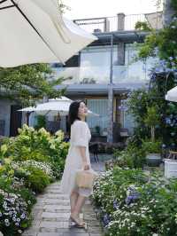大理！住進繡球花小院，美若仙境具象化了