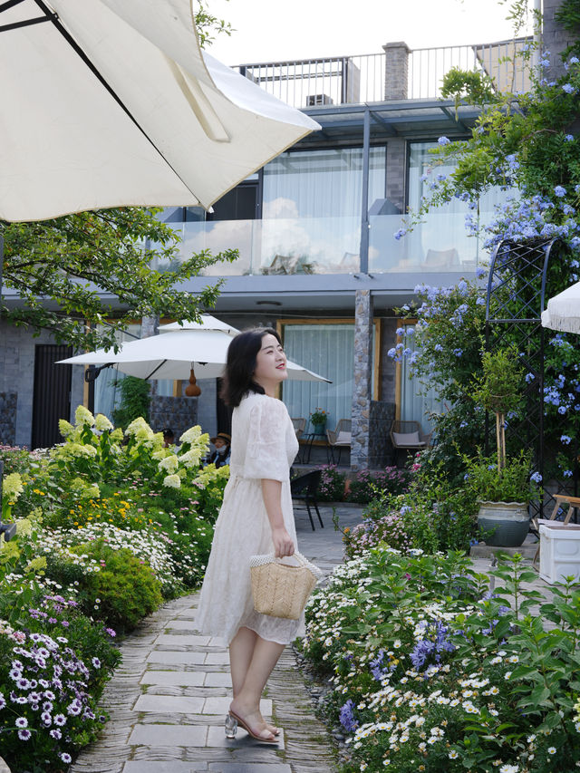 大理！住進繡球花小院，美若仙境具象化了
