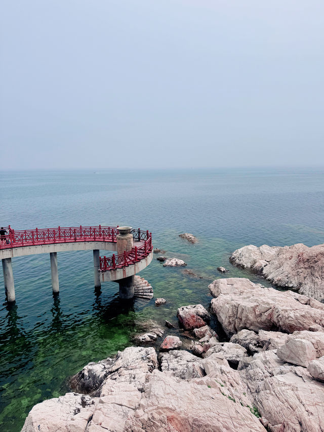 沒在國外，就在煙台養馬島，傳說中的果凍海～