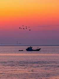 嘉興海鹽