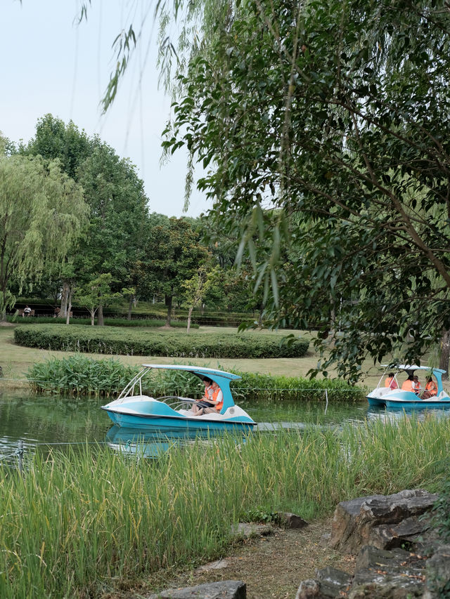 快樂暑不完！上海閔行文化公園夏日漫步，傍晚納涼好愜意