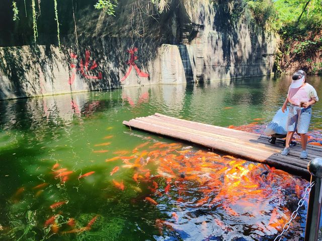 遊千島湖東南湖景區