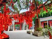 新興龍山鎮國恩寺