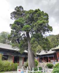 交城卦山旅遊攻略