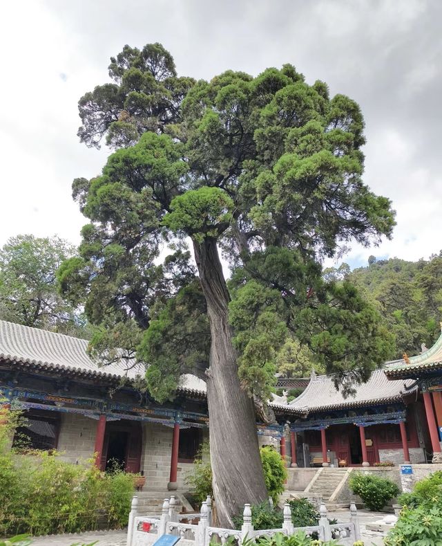 交城卦山旅遊攻略