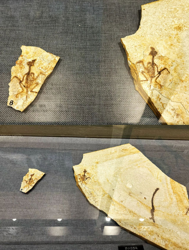 小眾城市遊玩兩天一夜行程充足滿滿不閒逛