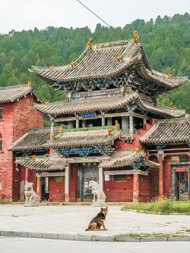 山西晋城，這兩個字令人震撼,我已經說累了。