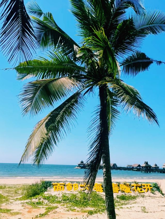 寧靜的閱讀體驗和美麗的海景
