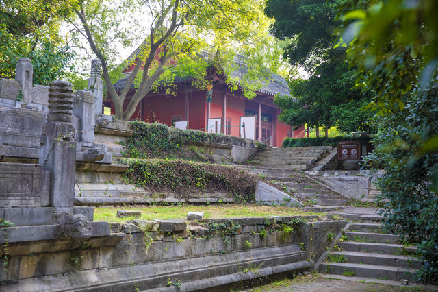 二游南京明孝陵｜明清皇家第一陵｜世界文化遺產