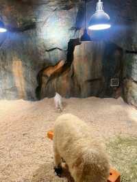 五角場全新開幕 | 隱藏在城市喧嘩中的自然之趣。