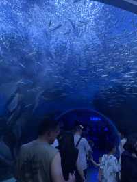 國慶和朋友一起來極地海洋公園啦！！。