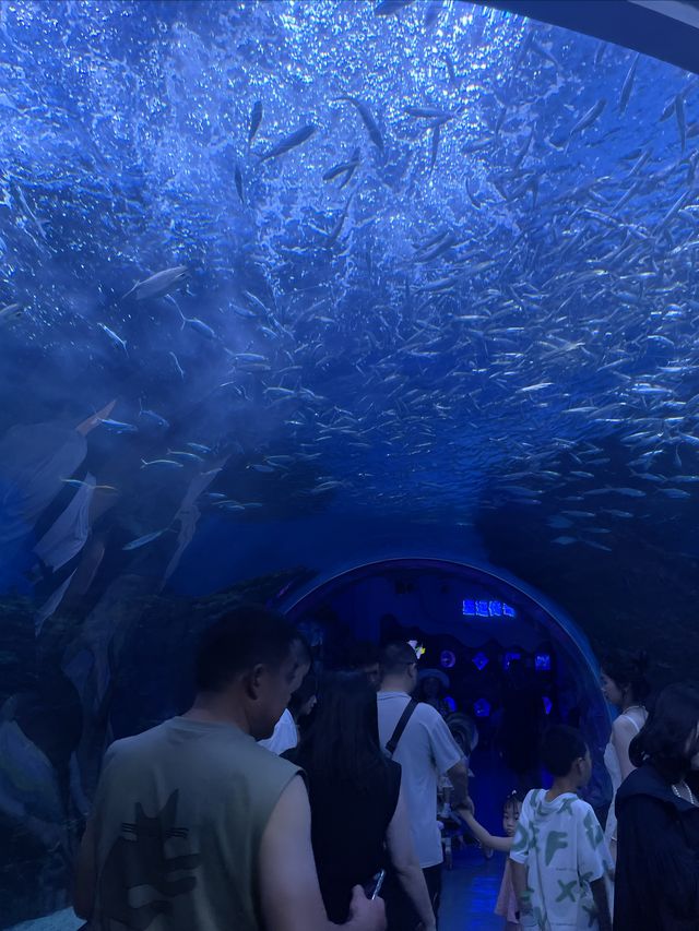 國慶和朋友一起來極地海洋公園啦！！。