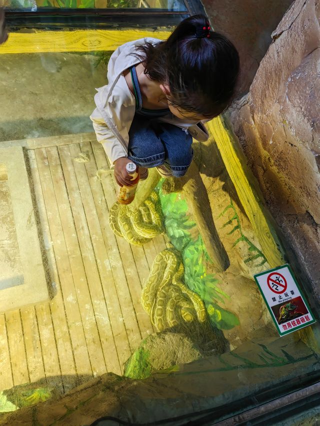 秦嶺野生動物園。