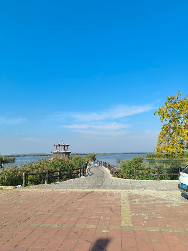 泰安東平湖。
