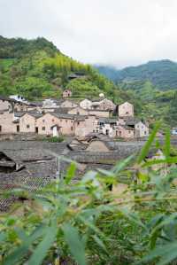 金華山下鮑村 | 世間桃花源，界外烏托邦。