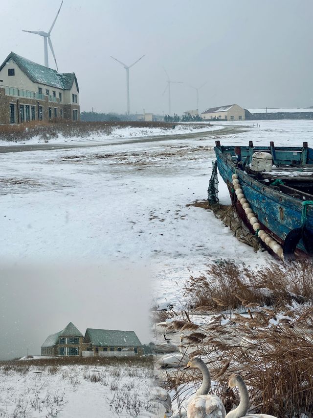 開始期待下雪的威海了！很冷又很浪漫。