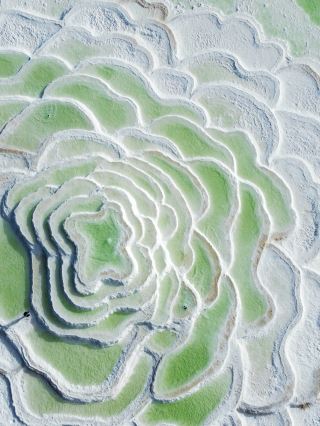 察爾汗鹽湖｜看那一抹玫瑰花瓣間的蘋果綠。