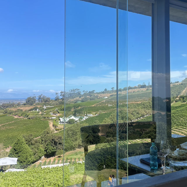 Cape Wine Estate 🍷🌿