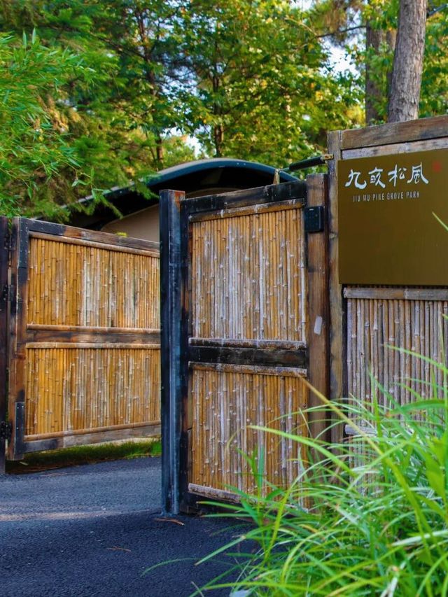 九畝松風 | 超棒體驗等你來。