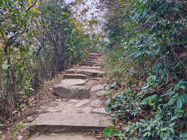 星德山門。