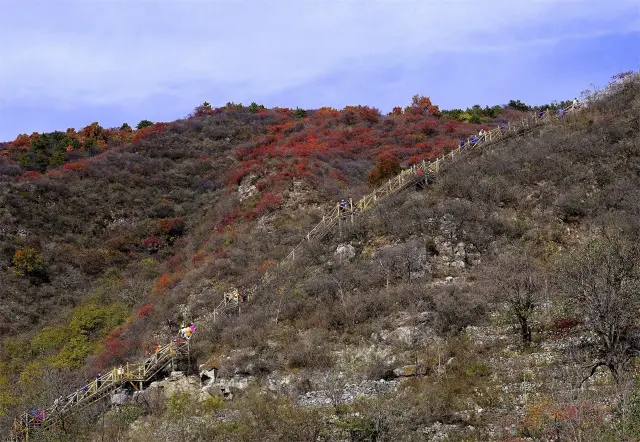 木棧道上賞秋色，群山斑斕入眼簾。