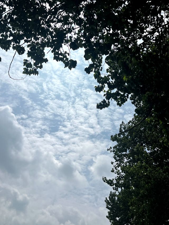 今天為大家推薦一個超美的地方萊西產芝村。