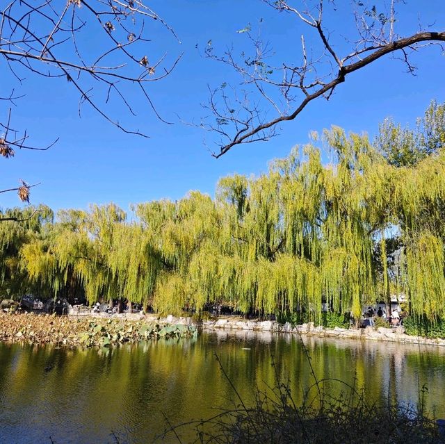 Summer Palace Autumn Stroll