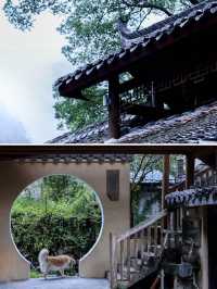雲鶴水岸民宿。