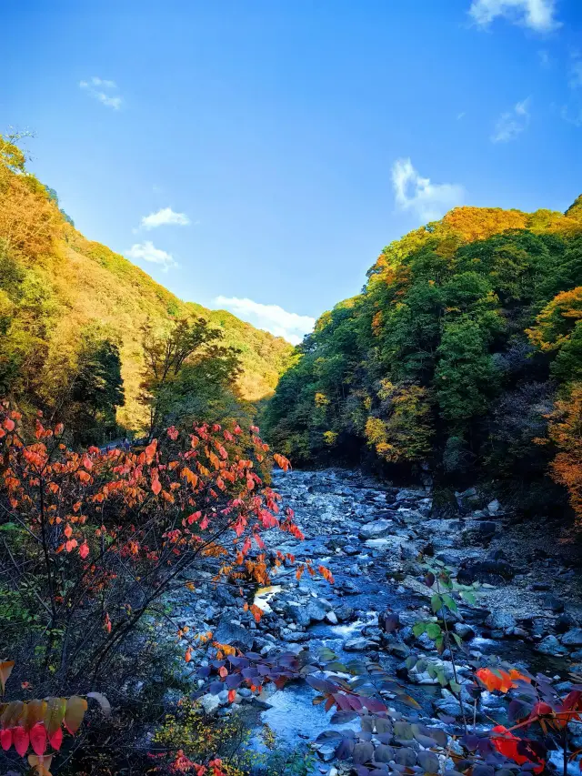 Guangwu Mountain, Bazhong, Sichuan | A place that will conquer your social media feed. 