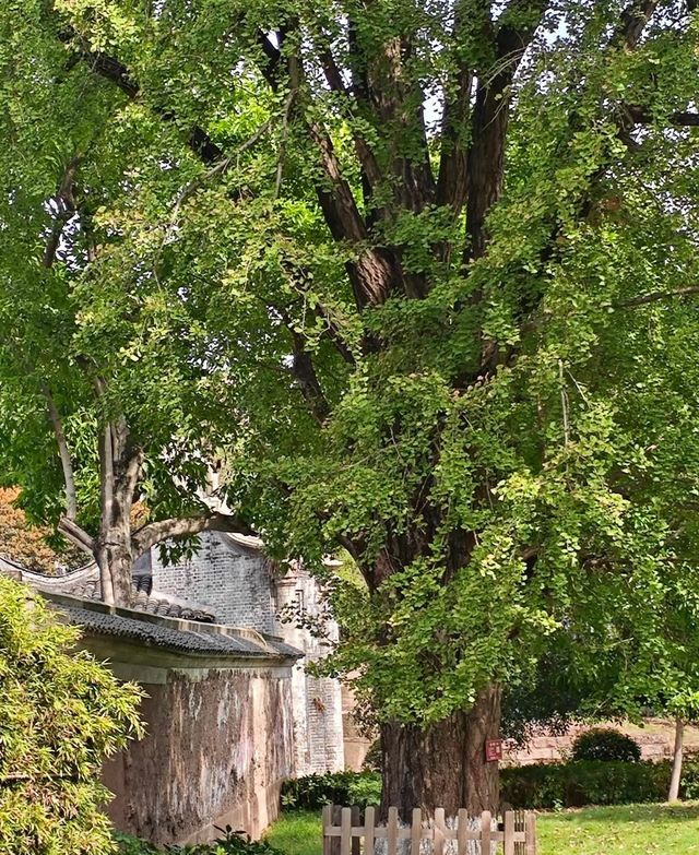 重慶有座舉人樓,中西合璧大宅風華。 重慶有座舉人樓,中西合璧大宅風華。