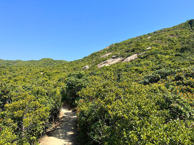 行山季｜低難度靚景龍脊