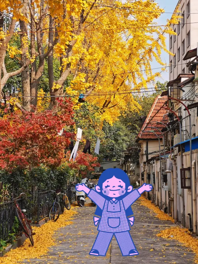 上海‖長樂村觀賞銀杏的天花板。