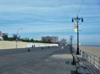 New York: Free Roaming in The City of Freedom