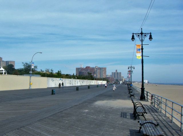 New York: Free Roaming in The City of Freedom