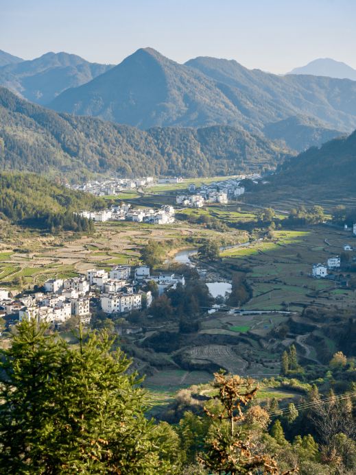 石城晨雾红枫 参考图 2