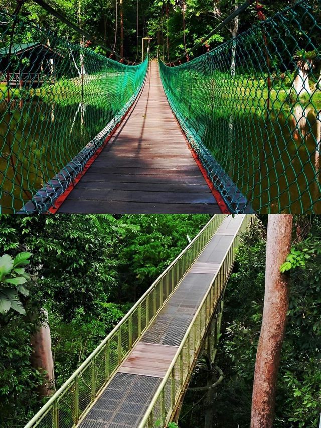 山打根 City Walk 攻略。