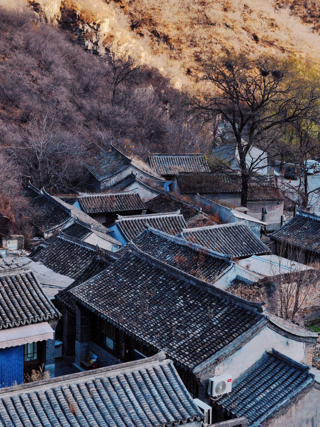 京西新晉網紅地標已經藏不住了。