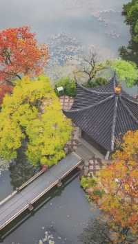 《心靈的慰藉之所：世間美景與人生哲思》。