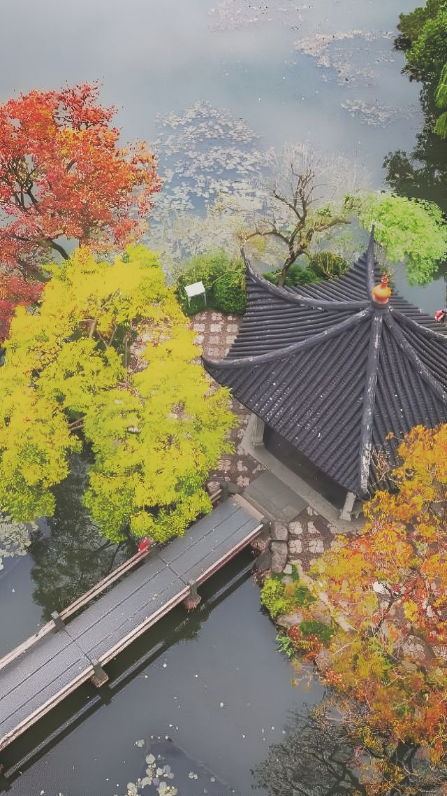 《心靈的慰藉之所：世間美景與人生哲思》。