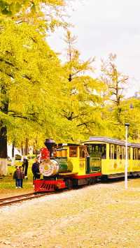 真沒去國外在浙江，開往秋天的童話列車。