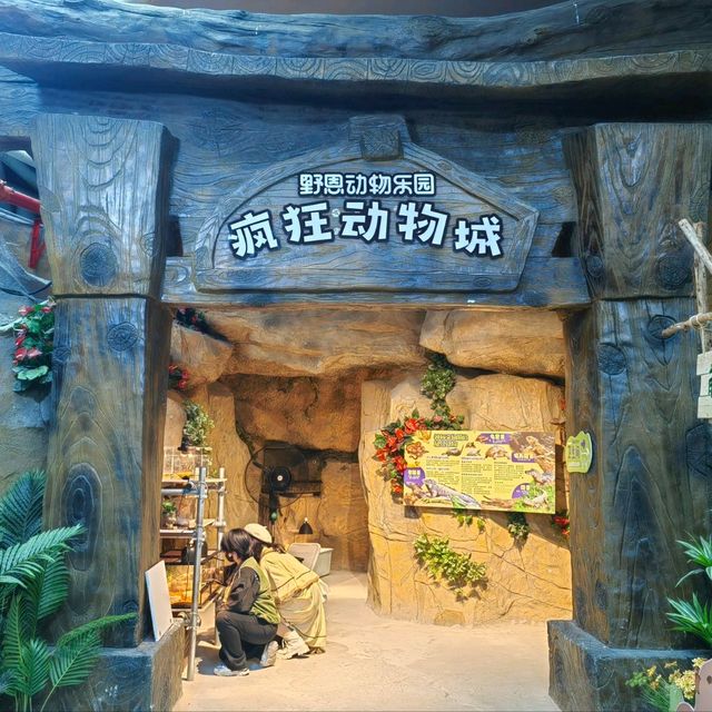 深圳商場野恩室內動物園 深圳商場野恩室內動物園