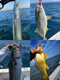 巽寮灣海上魚排釣魚玩樂 再不來就沒有了