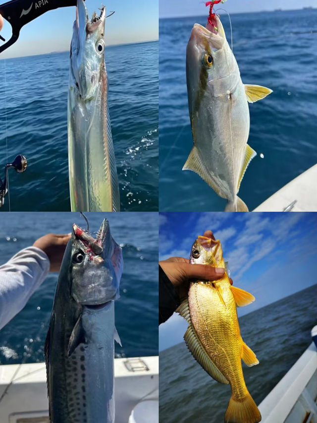 巽寮灣海上魚排釣魚玩樂 再不來就沒有了
