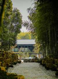 城市酒店|春山在望 大隱於市的人文旅居樣本