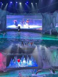 哈爾濱公園表演美極了