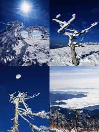 秦嶺超美雪季到了，你還不來