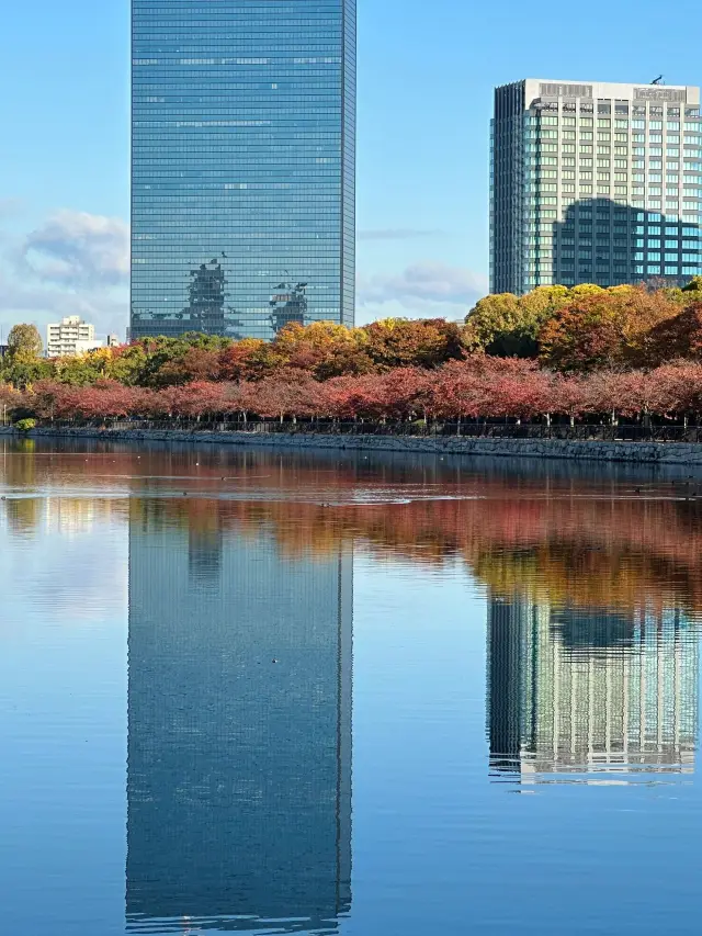 7-Day Japan Itinerary: The Secret to a Deep Dive into Japan